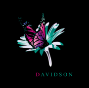 DAVIDSON CONSULTING