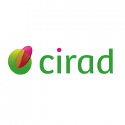 Cirad