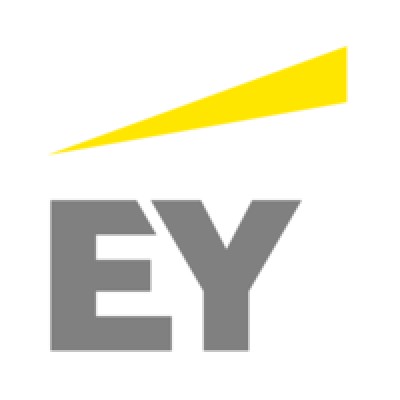 Ernst & Young Consulting Services