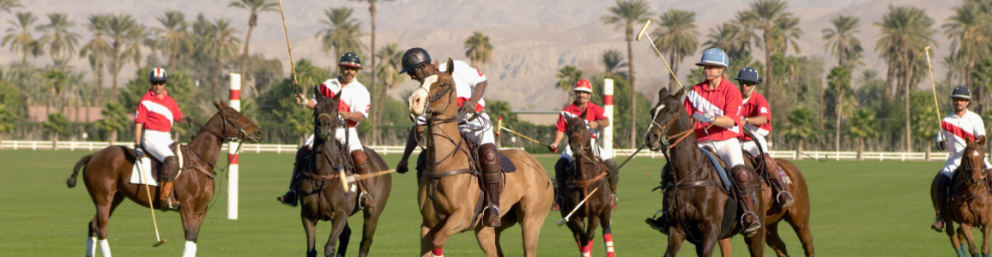 Club Polo