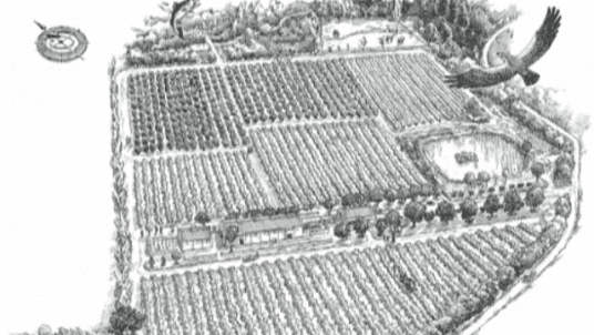 The Future Outside Europe - Découverte KLEINOOD (Stellenbosch, Afrique du Sud)