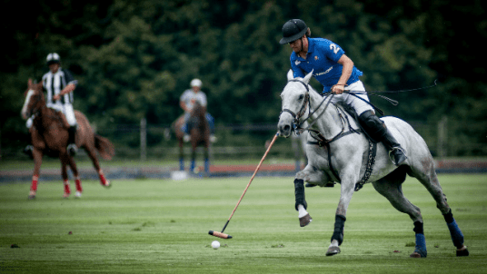  44e tournoi de l'Association Polo  des Grandes Écoles, Écoles & Universités