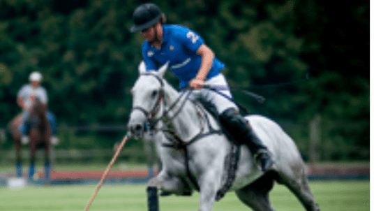 Finale de l'open de France au Polo