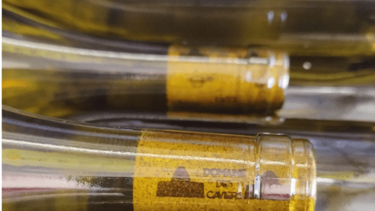 Découverte du Domaine des Caviers