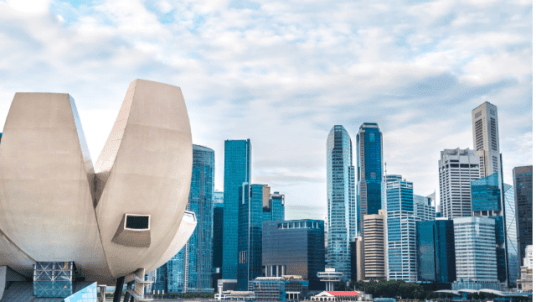 Chapter Singapour - Comprendre et Rencontrer